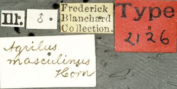 Media type: image;   Entomology 2126 Aspect: labels